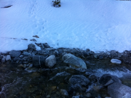 Crossing Mill Creek in the morning. No problem. Well naturally I go to hop onto one of those darker rocks, and it's covered in black ice. Kerplunk! I slip off and dunk my leg up to my knee in the freezing creek and flood my boot. Not the best way to start the trek.