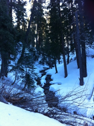 Definitely more snow than a month ago.