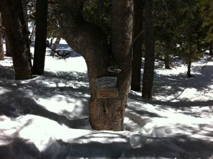 High Creek camp. Comparing pics, the snow is at least 1-2 feet deeper than last time I was here.