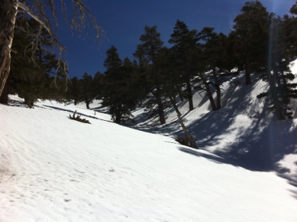 Headed up the valley to the ridge above High Creek. I'm still not exactly sure what the real trail here looks like. I know there are a few long switchbacks, but in the snow, it's pretty much straight-up. I try to take more of a switchbacking route this time, but it's still a brutal section of trail. About 800' gain in around 3/4 mile!