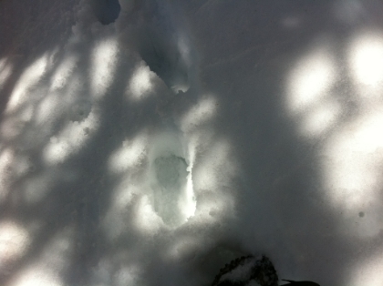 I had nice tracks to follow all the way up to High Creek, and the snow was firmly packed, making for a pretty fast pace. But above High Creek I could find NO tracks at all, melted or otherwise. I was breaking trail the entire rest of the way to the summit, which is pretty amazing considering it hadn't snowed in almost 2 weeks! And the snow was powdery in places, shin to knee deep, which is a lot more work.