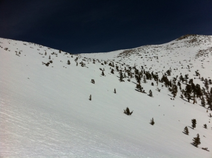 As you approach the final ridge before the summit, it becomes clear that there's going to be a lot of traversing here. It's tough to measure scale in the pic, but those are pretty big trees. Unless I want to not follow the actual trail (which I'm tracking on my gps), and go quite a ways out of my way, it looks like I have to traverse about 1/2 mile across this slope, sections of which get pretty steep. That usually wouldnt phase me, but this slope just feels different for some reason.