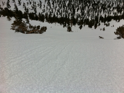 A look downslope from my traversing tracks. This gives maybe a little bit of sense of how steep the slope is. If you slip and don't manage to self-arrest, you're going to either start cartwheeling or eventually slam into a tree. I usually don't have any fear of height issues, but for some reason the geometry of this slope and the vastness of the terrain gave me some serious vertigo. It was a major effort to brace myself against the slope and look out to take this pic. Then it was back to traversing. I just stared directly in front of my feet to try to avoid the vertigo.