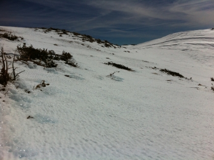 There were these very cool ice formations along the summit, probably formed through some combination of wind and melting snow. Naturally, you can't tell in the picture, but they have a little bit of the same blue glow as my recent blue ice pics from San Jacinto.