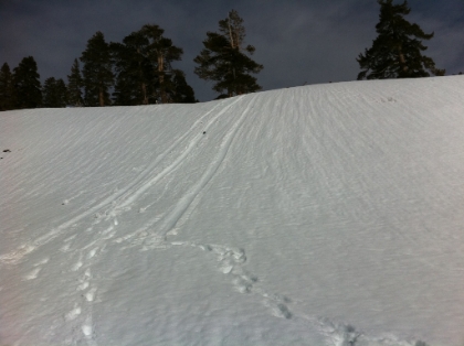 I take one annoying detour on the way down, but otherwise have a fairly relaxing trip back down to High Creek. A couple people had clearly done some glissading here, so I did as well. It's not until I was looking at this photo back at home that I realized that those are my missing glove liners there about half way down the slope. They must have fallen out of my pocket while sliding down. Grr, those were good liners...