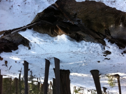 Making it my up towards Halfway Camp.