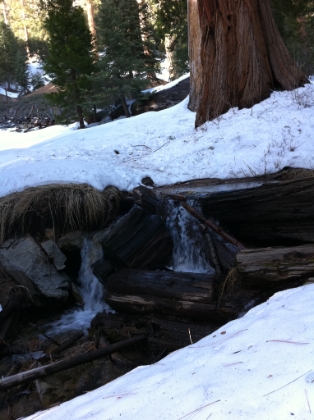 Definitely one of my favorite spots in Southern CA.