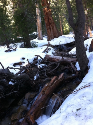 Coming up to the first creek crossing.