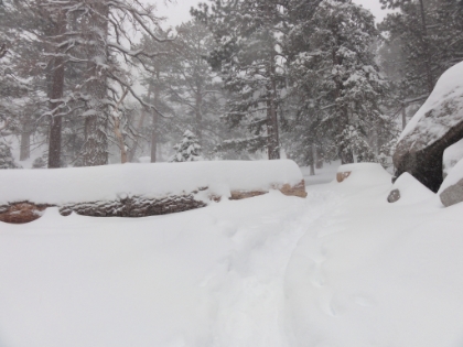Leaving Long Valley. The tram up was packed with people. Of those people probably only 30% ventured outside the lodge, and of those only a handful ventured out beyond Long Valley (according to the permit logs at the ranger station).