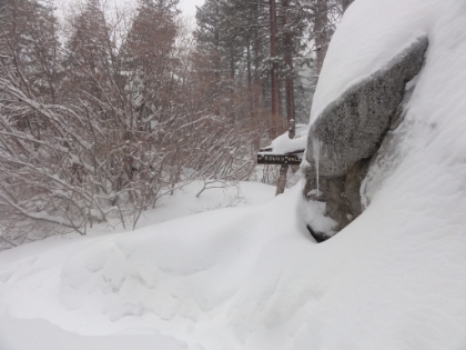 The first trail junction and creek crossing. This would be the last time I was anywhere near the real trail. My route for the day would head cross country Northeast towards Jean Peak. A much steeper, but shorter, route than the real trail that heads out towards Wellman's Divide.