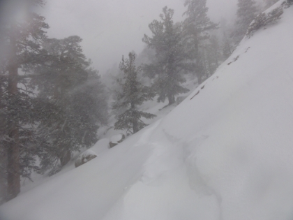 As the elevation started to climb, the storm got heavier, and the powder got deeper. The tracks I was following were already starting to fill. At this point though, I was starting to get really cold. The temperature had been in the 12-14 degree range the entire time, which was causing me all sorts of issues. My trusty Cliff Bloks were solid red ice cubes. My protein shake was frozen solid. And even my insulated water bladder was freezing-up. I tried putting everything down my shirt, which worked moderately well. But I did not end-up eating or drinking much the entire day, which was not good.
