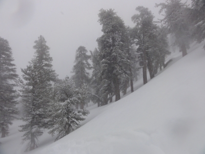As I approached Jean Peak, things get steeper, and the powder got deeper. In places, I was post holing knee deep even with snow shoes on. I have never seen powder this dry and airy before in Southern CA (where the snow is normally pretty wet and packs quickly). In a couple spots, I wandered into a snow bank of waist deep powder, couldn't lift the snow shoes out, and had to slowly wade, as if through quick sand, until I reached a shallow spot. Another time, I fell face first into a snow drift and was completely submerged in snow, like being underwater. A new, and rather unerving, experience for me.