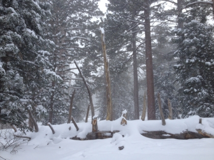 It's a lot easier to take pictures now that my hands aren't frozen.