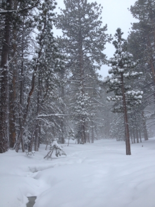 The barely visible creek winding through Long Valley.