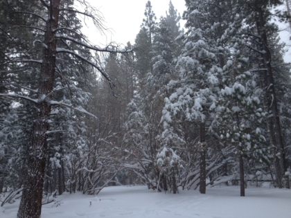 Lots of great snow scenery in the valley.
