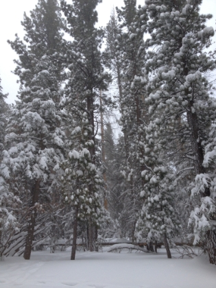 And much easier to enjoy now that it's a little warmer and not snowing as hard.