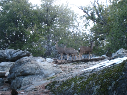 The whole family poses for a shot.