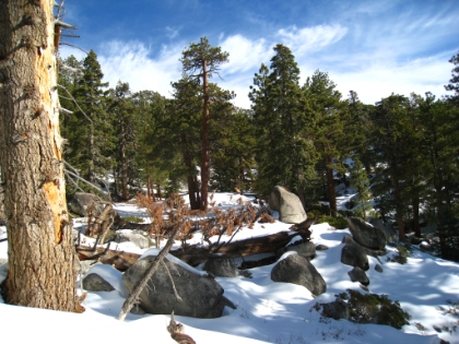 Amazing snow scenery is everywhere you look.