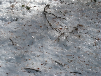 There's a stretch of a couple miles where it feels and sounds like I'm walking on glass. Little snow clods have frozen into ice chunks. They shine like glass and sound like crushing glass when you walk on them.