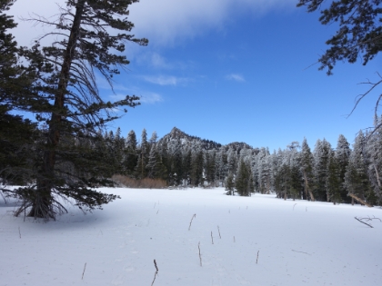 Round Valley with fresh snow still in the trees.