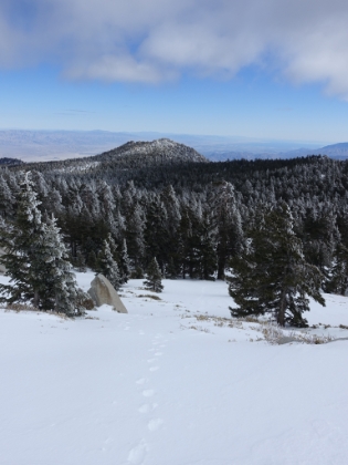 A typically deceiving picture. This is a steep climb out of Round Valley that is a common shortcut in the winter. It cuts almost a mile off the route by skipping the section out to Wellman Divide and heading straight uphill instead.