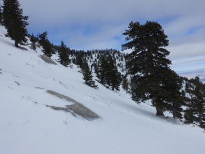 Probably the toughest section of trail in the winter. A long, steep traverse with no broken trail.