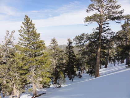Another look down at the valley floor from just below the saddle.