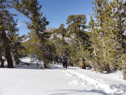 Almost to the saddle. You can see San Jacinto peak in the background. We're post holing knee deep in places here. It's definitely a workout.