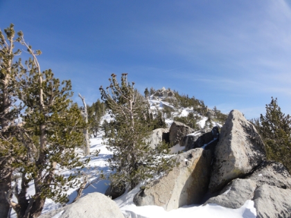 Here's a look at a mini-peak very near Jean Peak. Dad decided to stay at the saddle while I scampered up to the top. I just had to bag some sort of peak for the day.